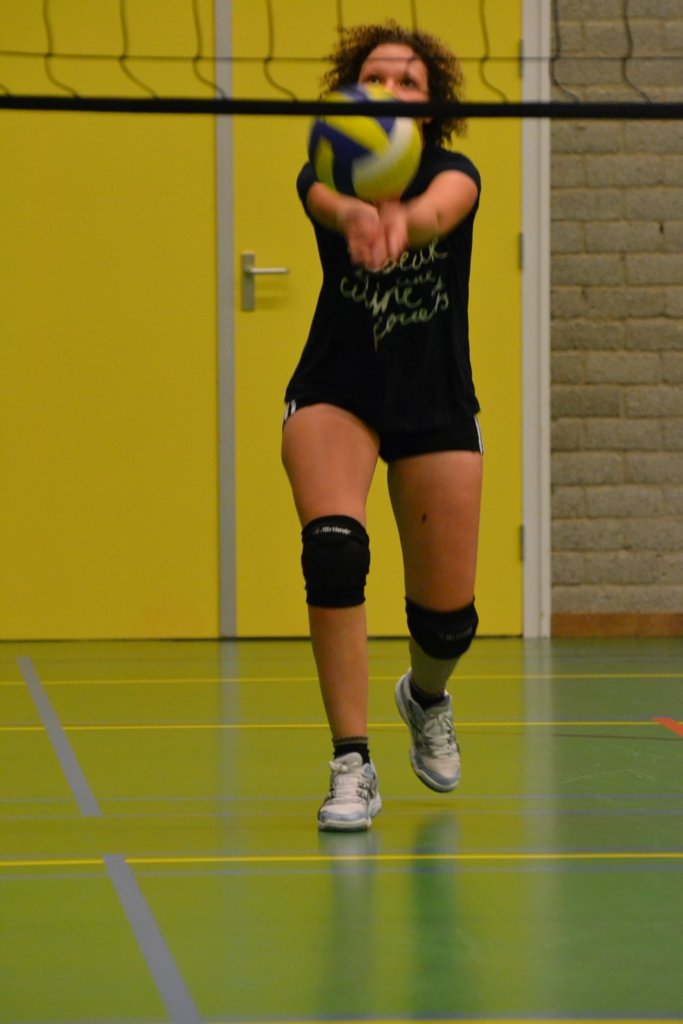 volleybalmeiden training 2013 035